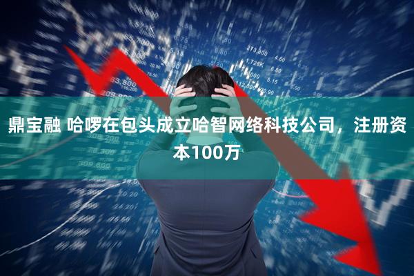 鼎宝融 哈啰在包头成立哈智网络科技公司，注册资本100万