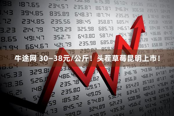 牛途网 30—38元/公斤！头茬草莓昆明上市！